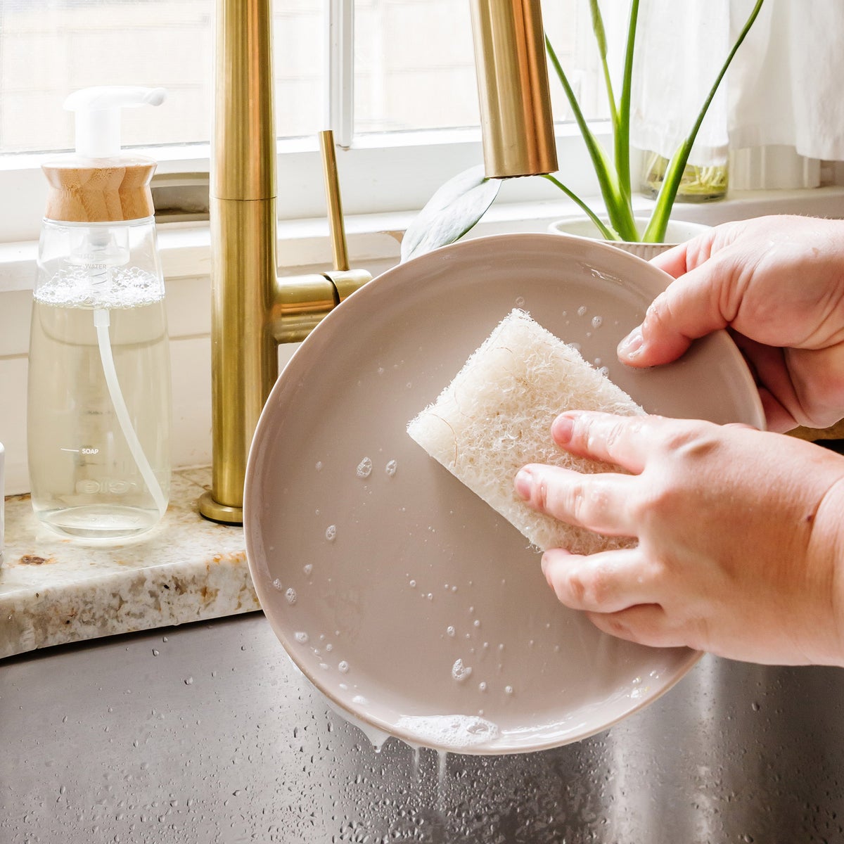 Full Circle non-toxic household cleaning sponges