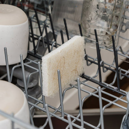 Full Circle coconut sponge cleaning essentials