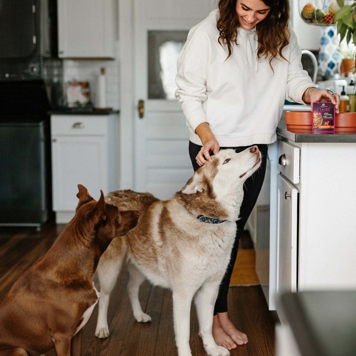 3 oz Wellness CORE dog food pouch variety pack