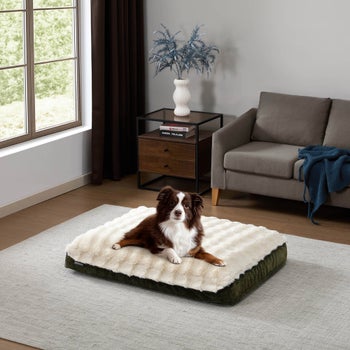 Tempur-Pedic 30 x 40 pet mattress with faux fur surface