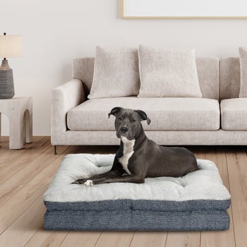 Kirkland Signature pillow top gusseted dog bed in blue