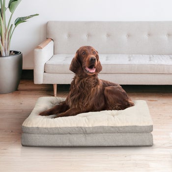 Kirkland Signature cushioned dog bed with non-skid bottom