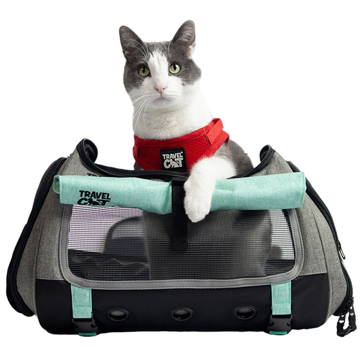 Travel Cat Transpurrter convertible cat carrier front view