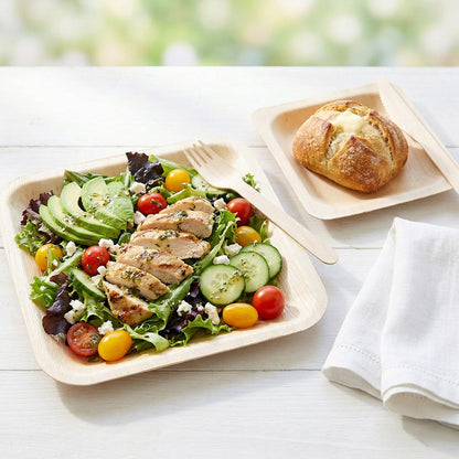 250-count VerTerra eco-friendly tableware pack