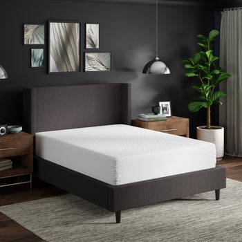 Tempur-Pedic zip-off waterproof mattress protector