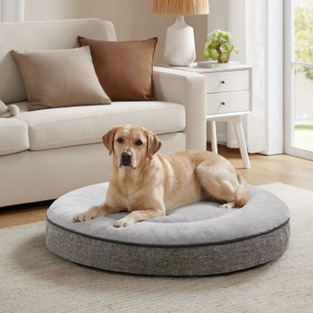 Friends Forever pet bed with zip-off washable cover