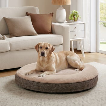 Taupe round donut pet bed with faux rabbit fur