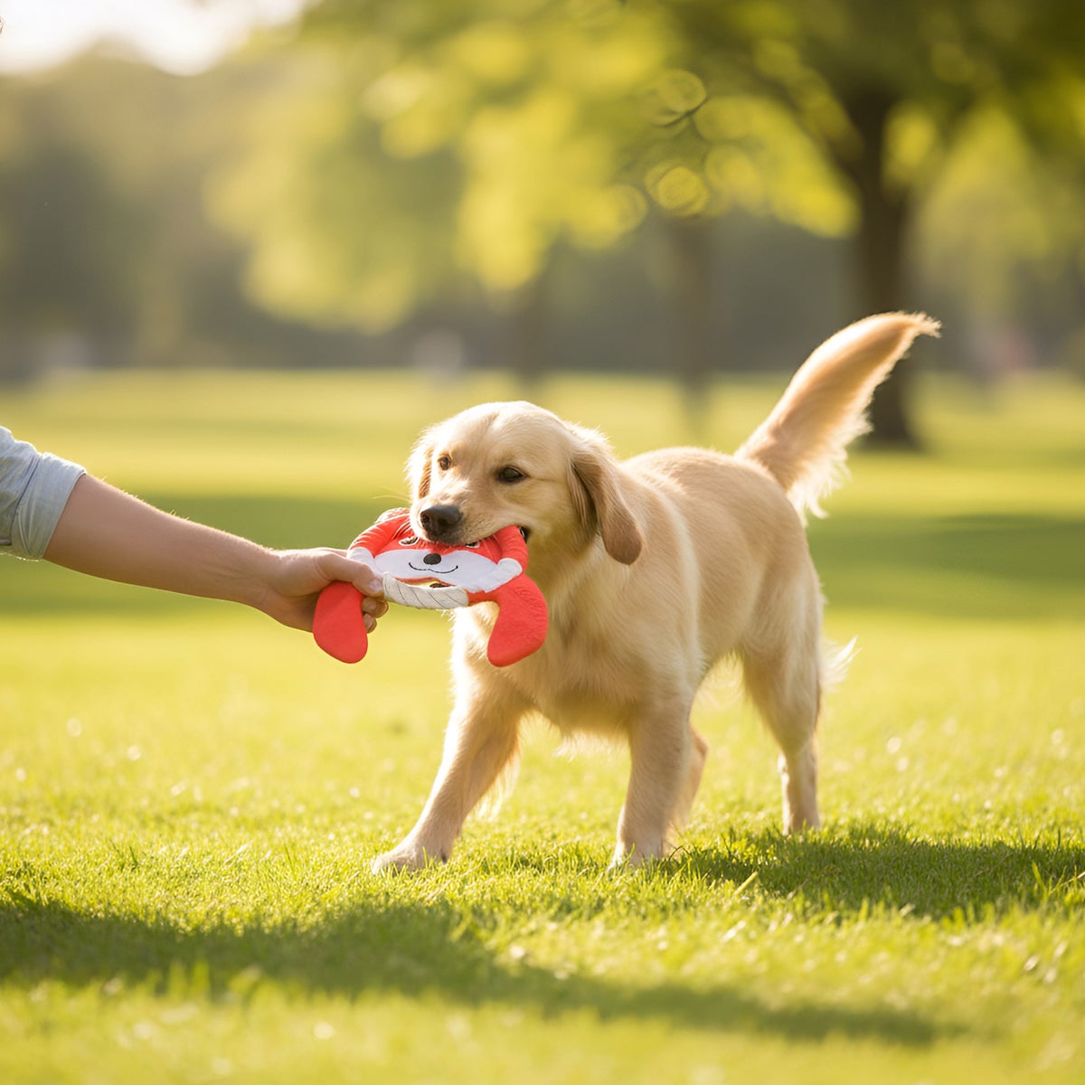 Stuffing-free PawsPik toy for active dogs