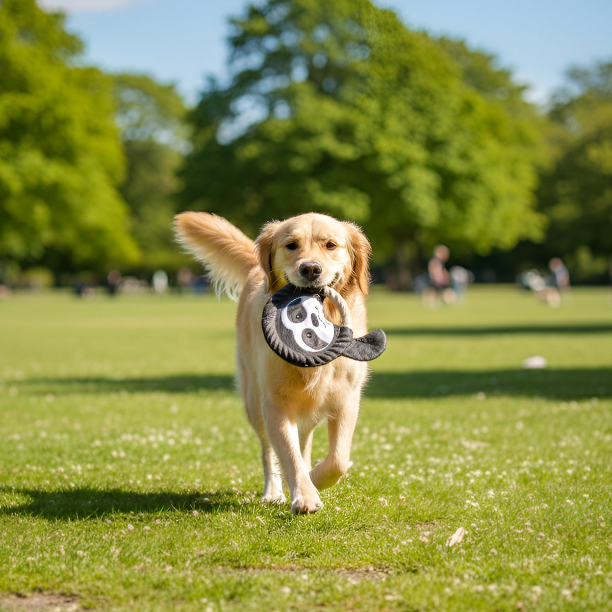 Interactive fetch and tug toy for dogs