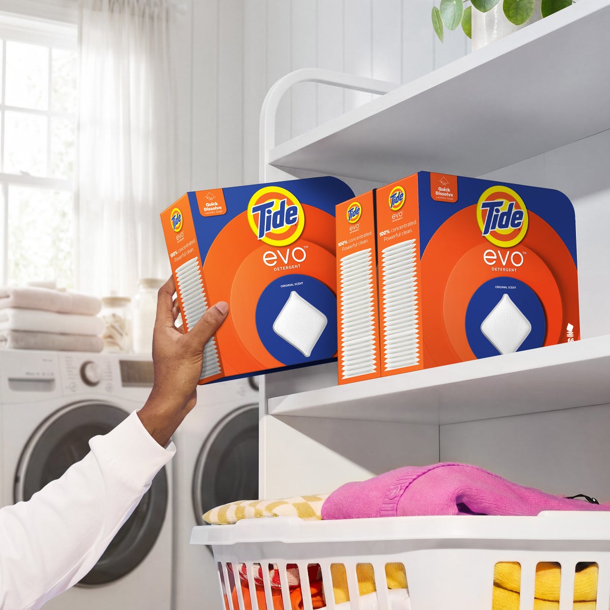 Compact Tide Evo laundry tiles for everyday wash