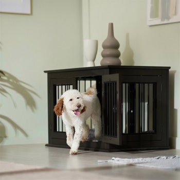 Living Essentials Yorkshire 42 inch gray double door dog crate