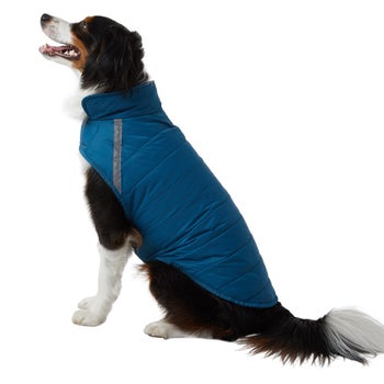 Water-resistant dog jacket with reflective trim