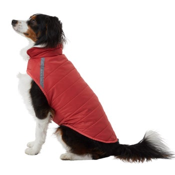 32 Degrees red X-Small dog jacket
