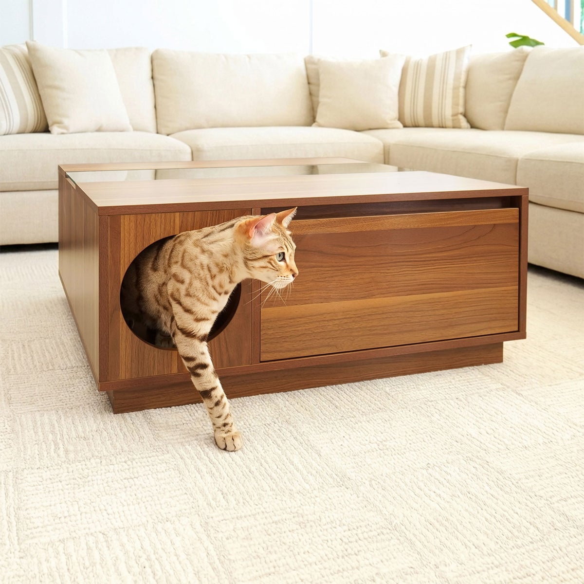 Coco coffee table with hidden pet hideout