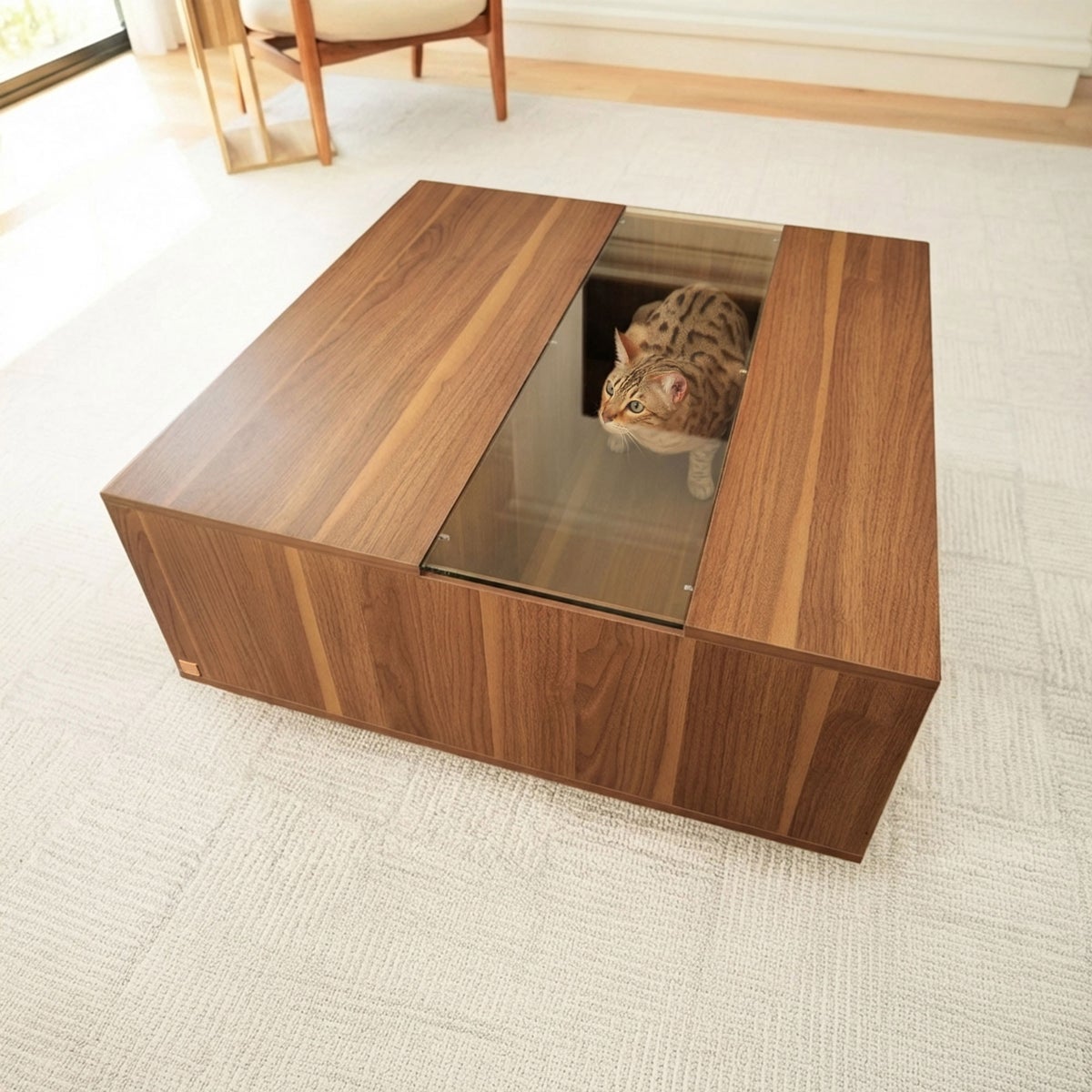 Pet hideout coffee table with drawer storage