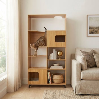 Clifford oak cat tree bookshelf with multi-level perches