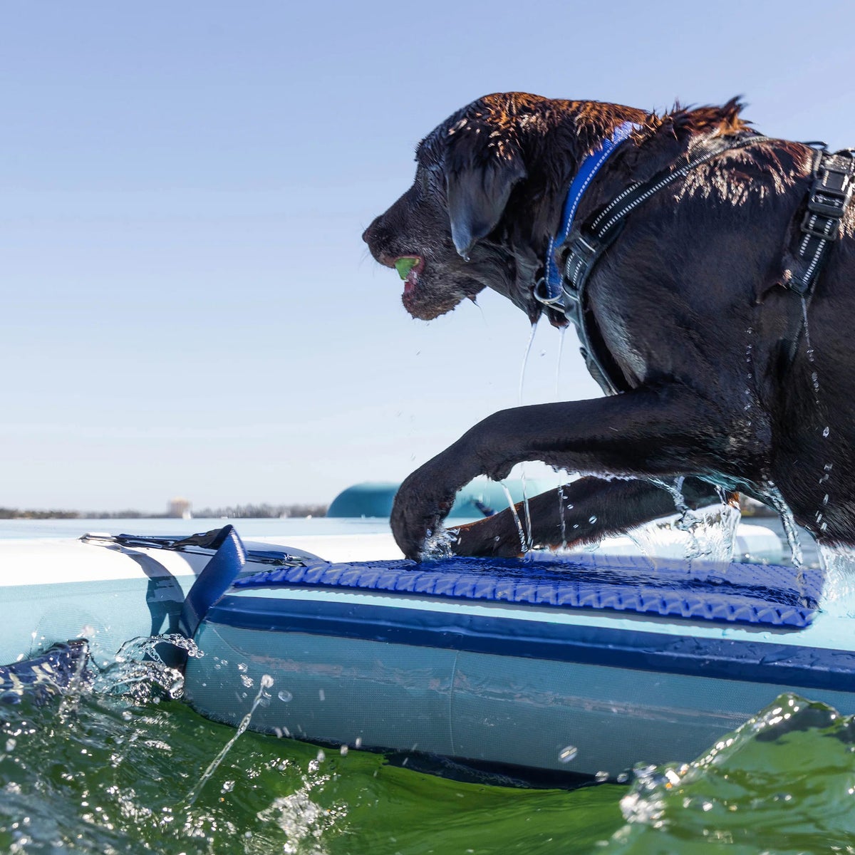 Inflatable dog ramp with stable Airtech construction