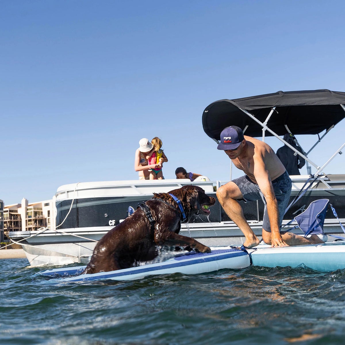 Dog ramp with non-slip EVA footing