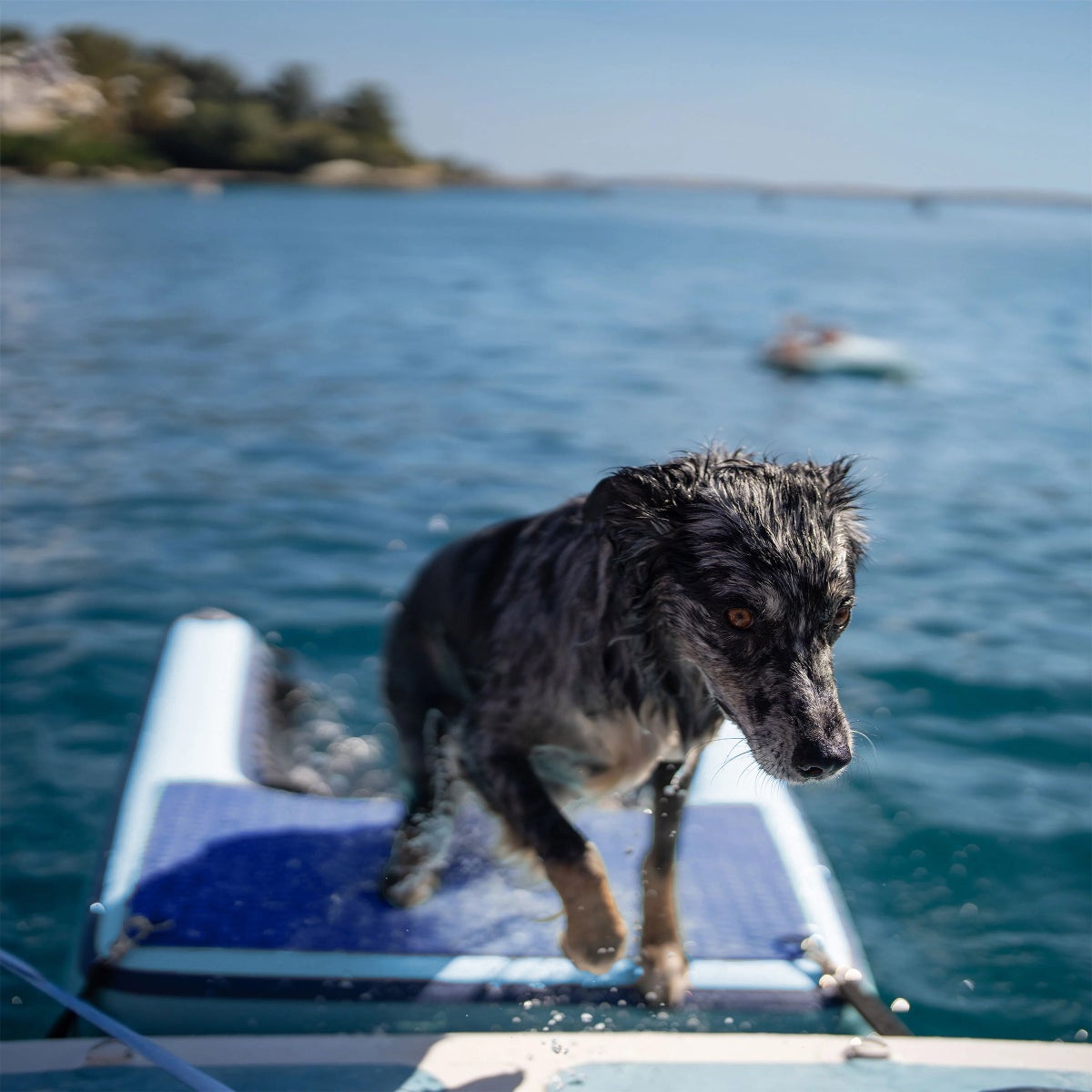 Mesh ladder design on inflatable dog ramp