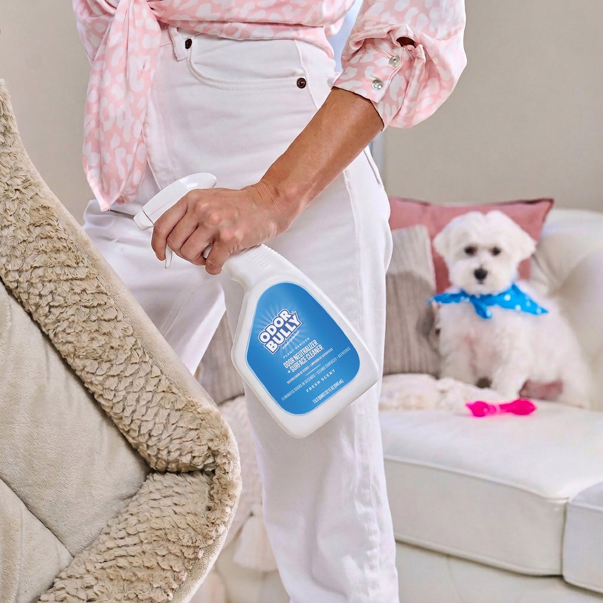 Odor Bully odor neutralizer and surface cleaner packaging