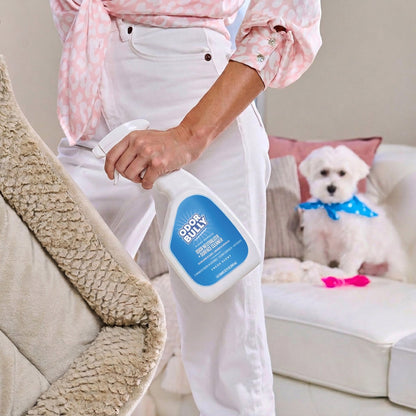 Odor Bully odor neutralizer and surface cleaner packaging