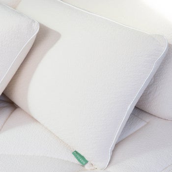 Avocado molded Talalay latex pillow with medium support
