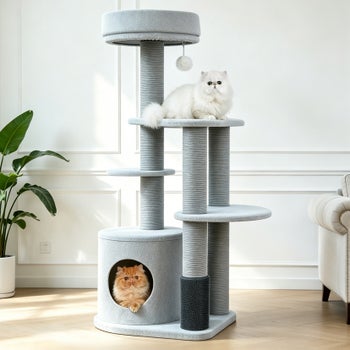 Catry Cohos 64 inch cat tree with high back sofa and condo