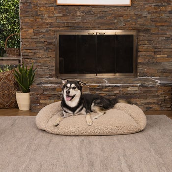 Tan faux fur cuddler pet bed with plush finish