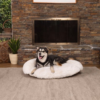 Kirkland Signature pet bed with memory foam shell