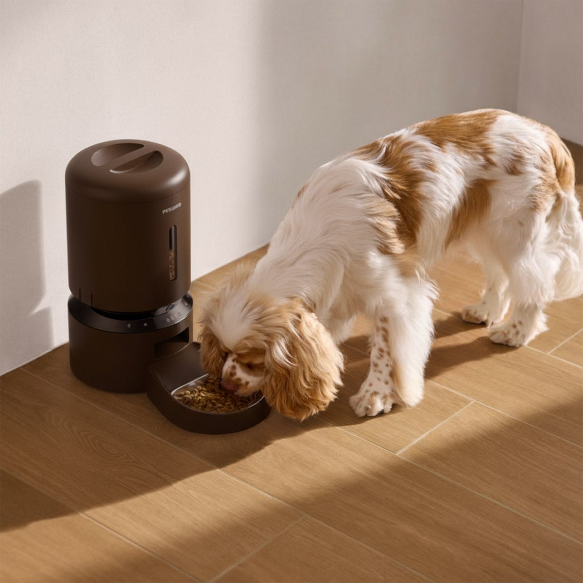 Petlibro automatic camera feeder with app control