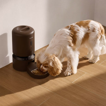 Petlibro automatic camera feeder with app control