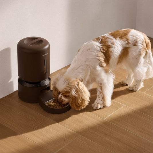 Petlibro automatic camera feeder with app control