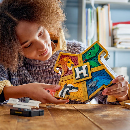 LEGO Harry Potter bundle with two sets