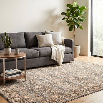 Surya Deeply Harbor distressed polyester area rug 6’7” x 9’6”