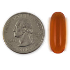 Pure Alaska Omega Wild Salmon Oil product packaging