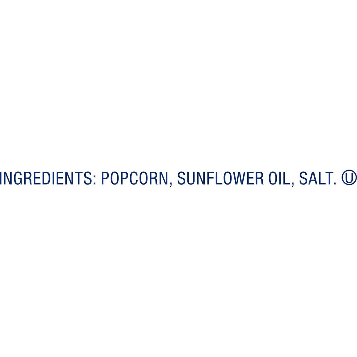 SkinnyPop light salty popped popcorn bags