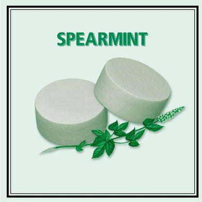 Altoids 1.76-ounce spearmint mints