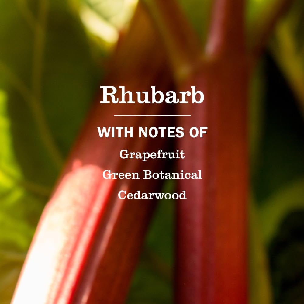 Moisturizing everyday hand wash in rhubarb scent