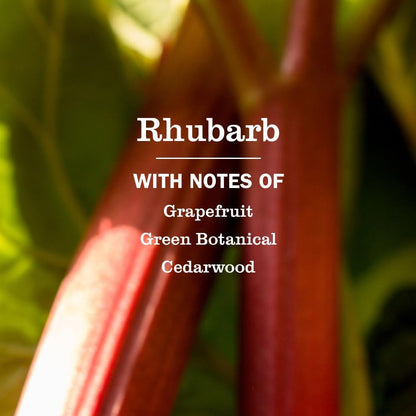 Moisturizing everyday hand wash in rhubarb scent