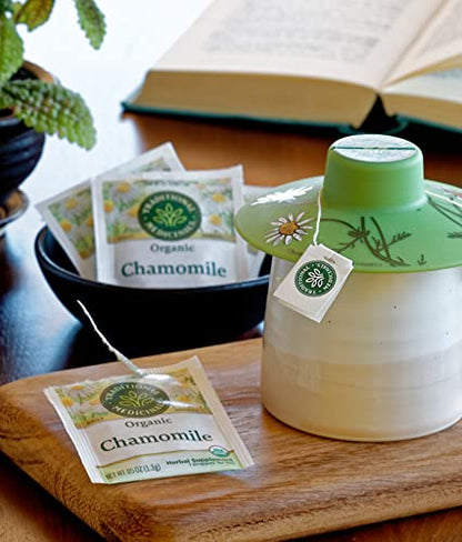 Visit the Traditional Medicinals Store — Traditional Medicinals Organic Spearmint, 16 Tea Bags - product image 92