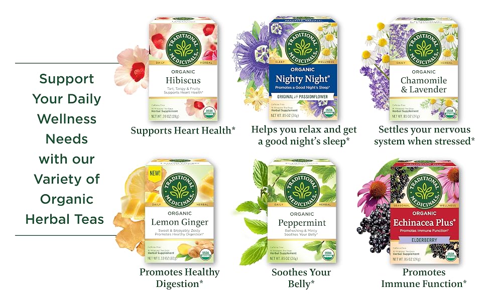 Visit the Traditional Medicinals Store — Traditional Medicinals Organic Spearmint, 16 Tea Bags - product image 86