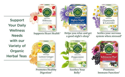 Visit the Traditional Medicinals Store — Traditional Medicinals Organic Spearmint, 16 Tea Bags - product image 86