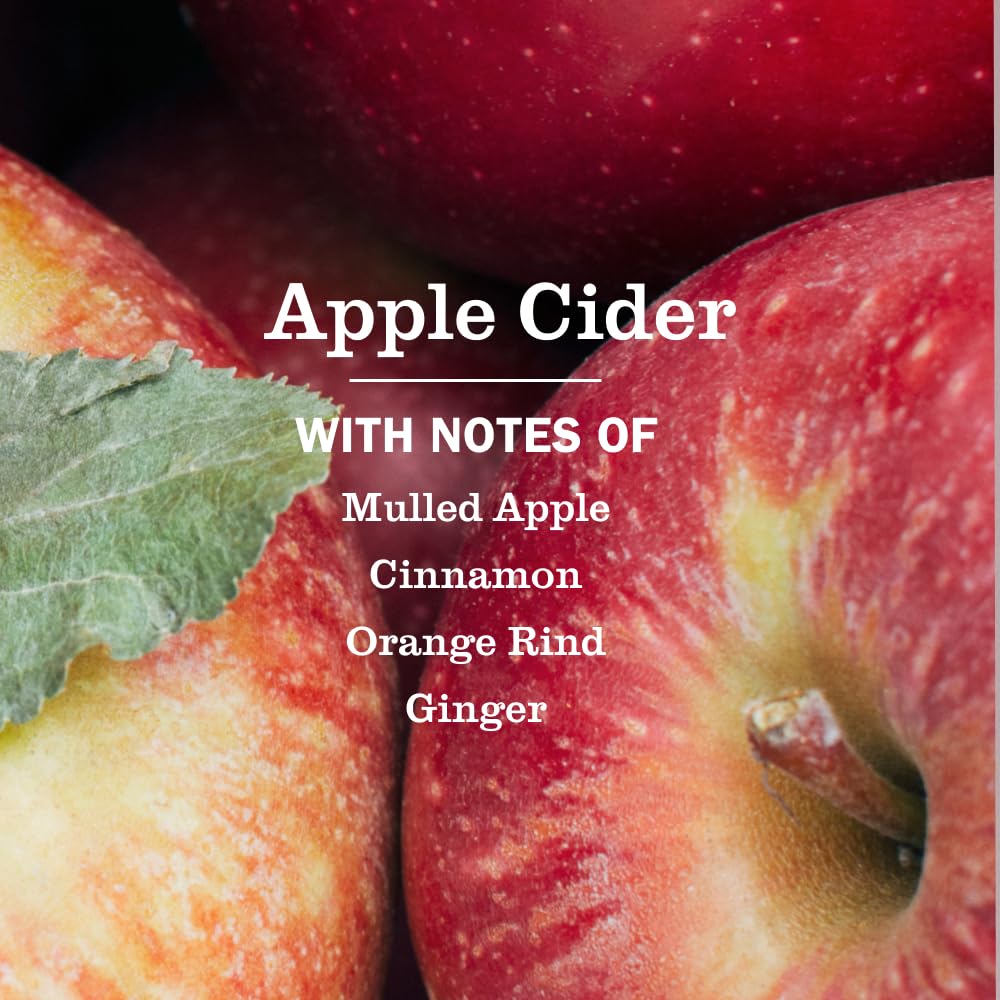 Seasonal apple cider hand soap for sink