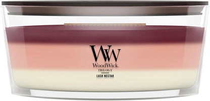 WoodWick crackling wick candle with layered fragrance
