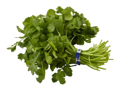 Fresh cilantro with vibrant green serrated leaves