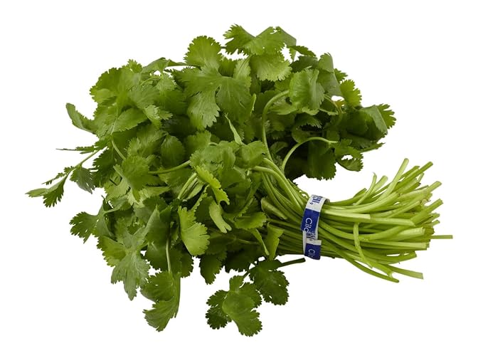Natures Reward fresh cilantro herb, 1 EA