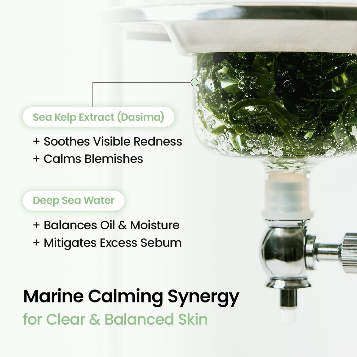 BIODANCE Refreshing Sea Kelp mask for face care