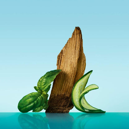 Woody men's cologne by Calvin Klein