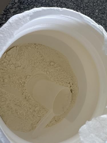 Sports nutrition whey protein French Vanilla flavor alat text image 19?