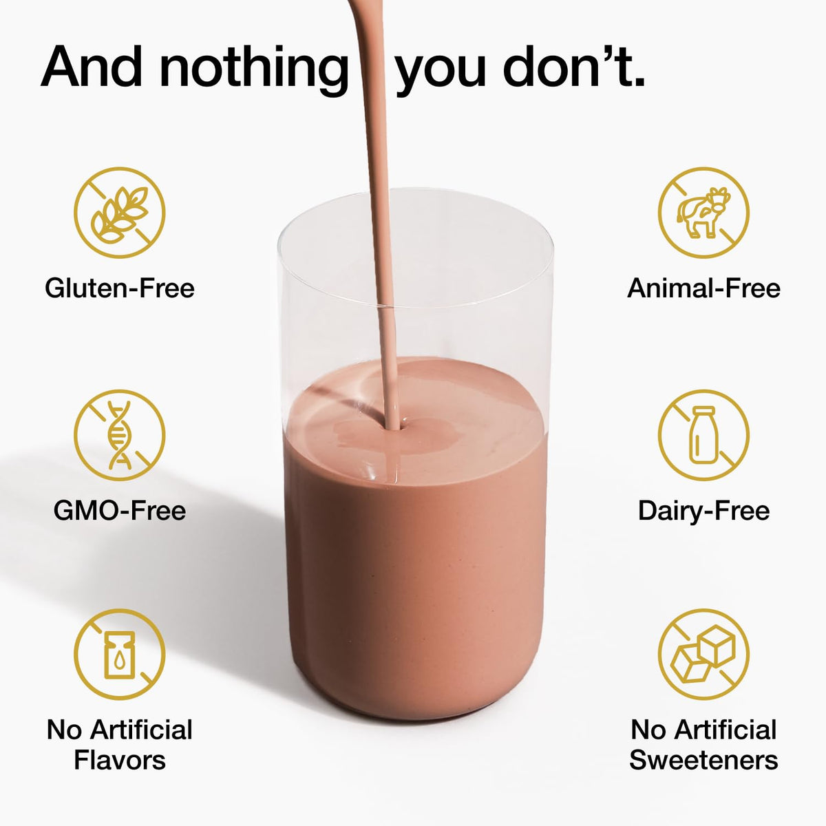 Huel Black Edition daily protein option